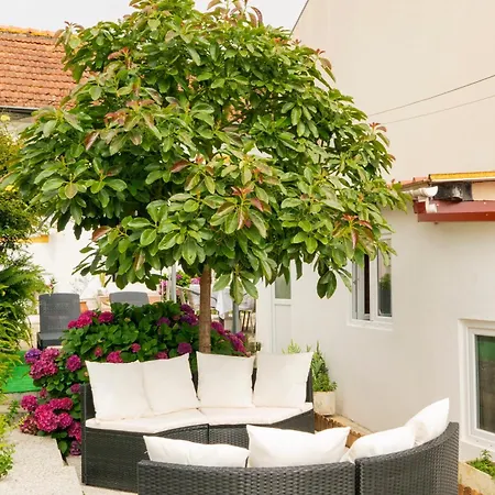 Growth House Порту