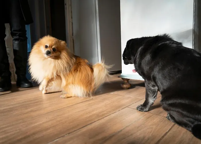 Growth House Alojamento de Acomodação e Pequeno-almoço