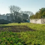 Growth House *