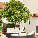 Growth House Porto