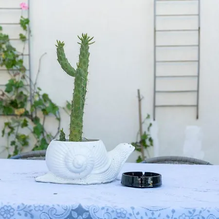 Growth House Bed & Breakfast Porto