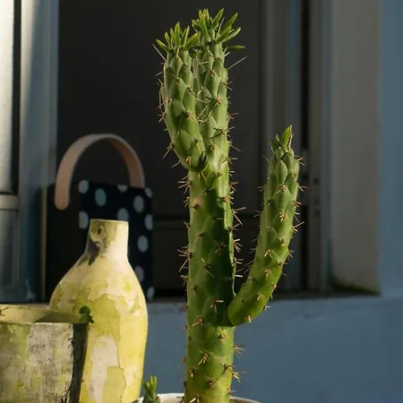 Frühstückspension Growth House *