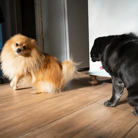 Growth House Frühstückspension