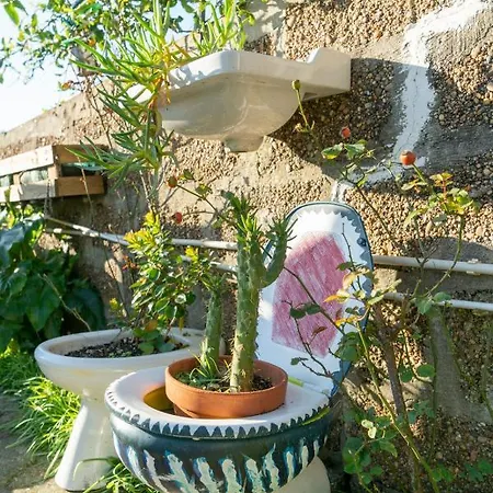 Bed & Breakfast Growth House Porto