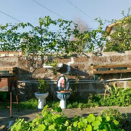 Growth House