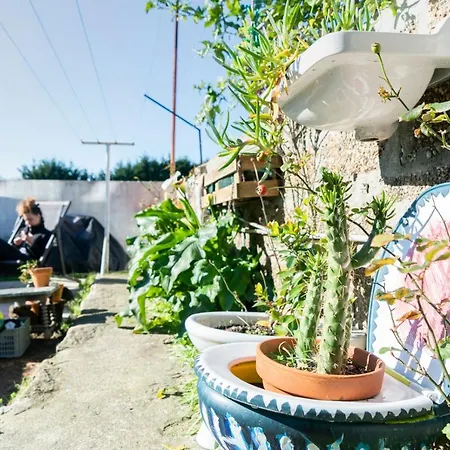 Bed & Breakfast Growth House