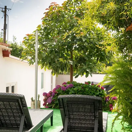 Bed & Breakfast Growth House Oporto