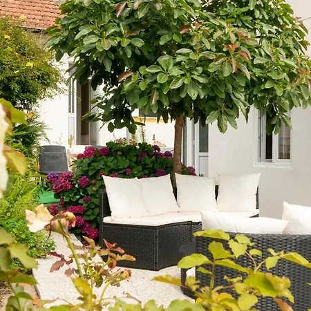Bed & Breakfast Growth House