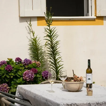 Bed & Breakfast Growth House Porto