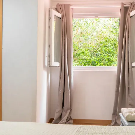 Growth House Bed & Breakfast Porto