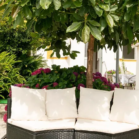 Bed & Breakfast Growth House Oporto