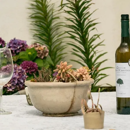 Growth House Bed & Breakfast Porto