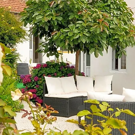 Growth House Bed & Breakfast Porto