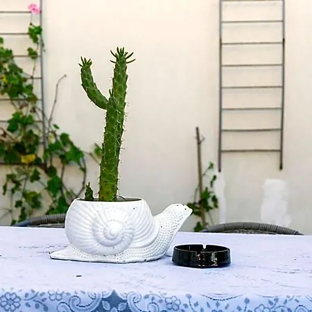 Growth House Bed & Breakfast Porto