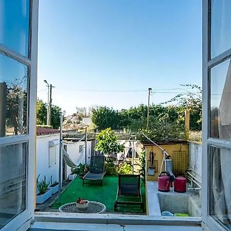 Bed & Breakfast Growth House *