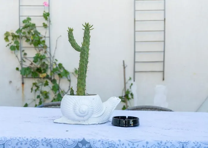 Growth House فندق مبيت وإفطار بورتو