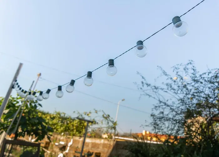 Growth House * بورتو