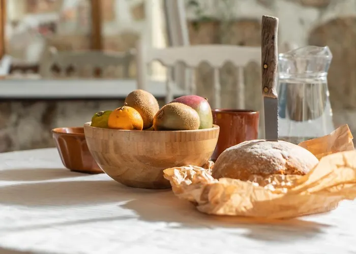 Growth House * Oporto