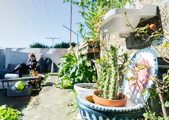 Bed & Breakfast Growth House