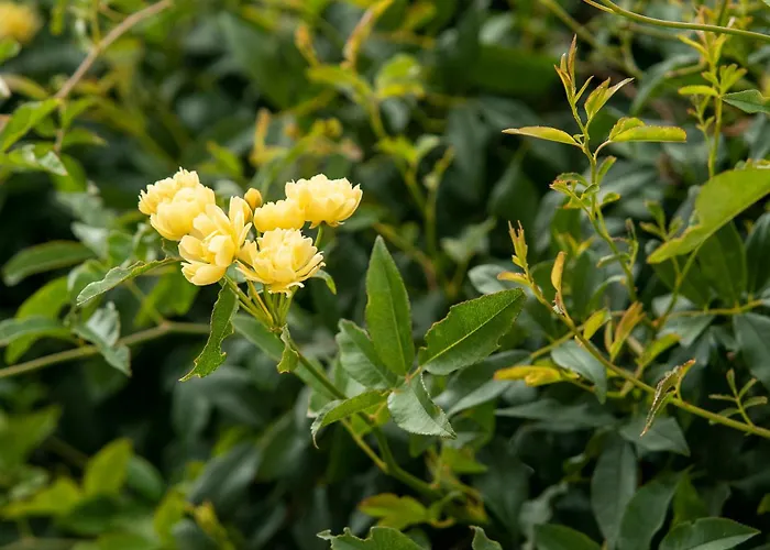 Bed & Breakfast Growth House *