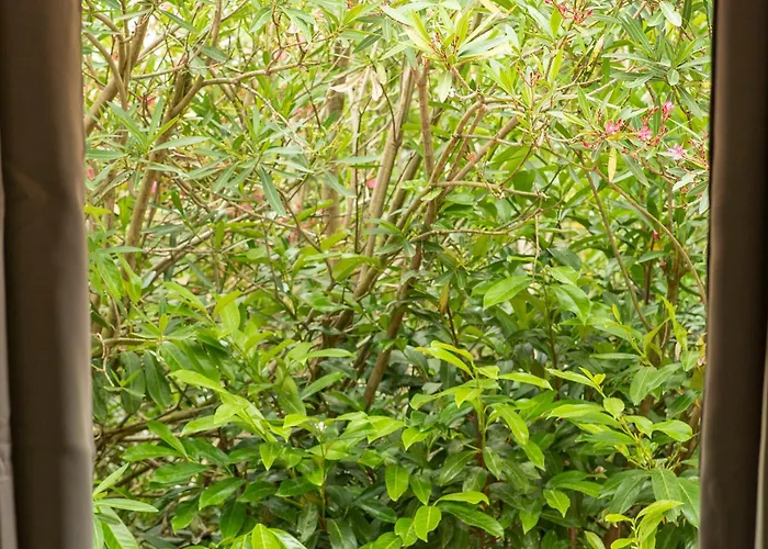 Growth House فندق مبيت وإفطار *