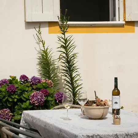 Couette-café Growth House Oporto