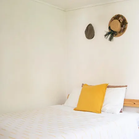 Growth House * Порту