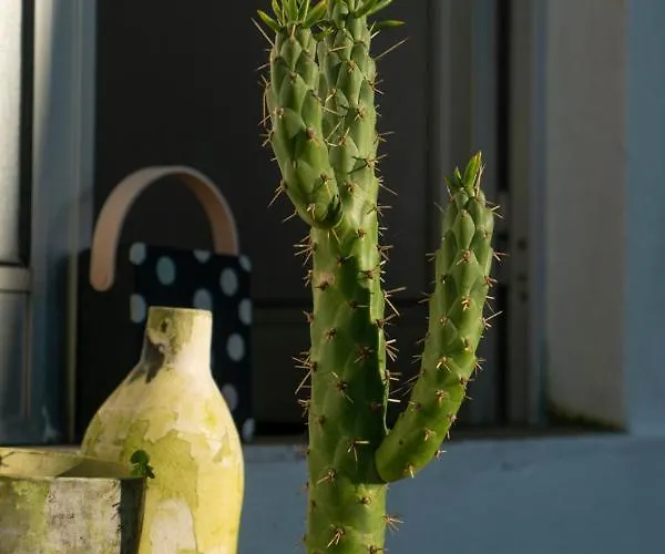 לינה וארוחת בוקר Growth House *