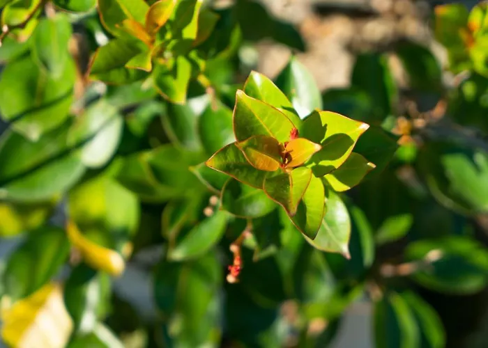 Growth House לינה וארוחת בוקר