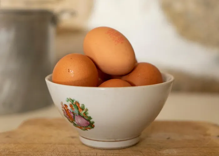 Growth House לינה וארוחת בוקר פורטו