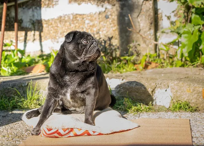 לינה וארוחת בוקר Growth House *