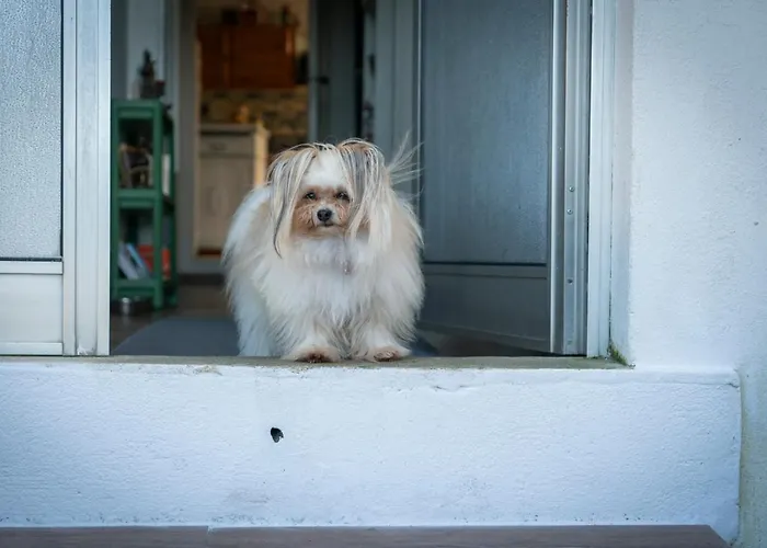 Growth House לינה וארוחת בוקר