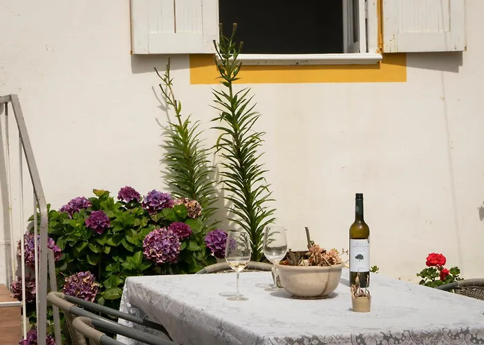 Bed & Breakfast Growth House Porto