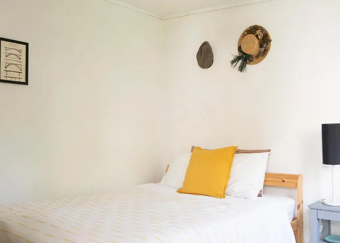 Growth House * פורטו