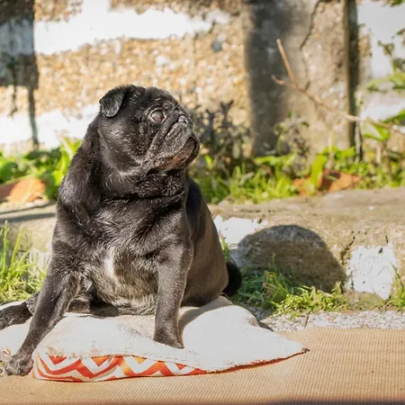 ベッド・アンド・ブレックファスト Growth House *