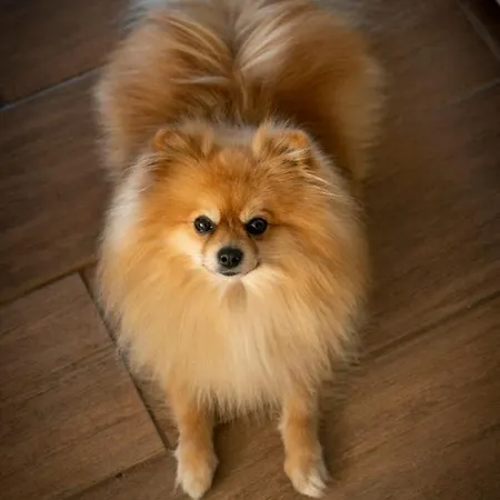 Growth House ポルト