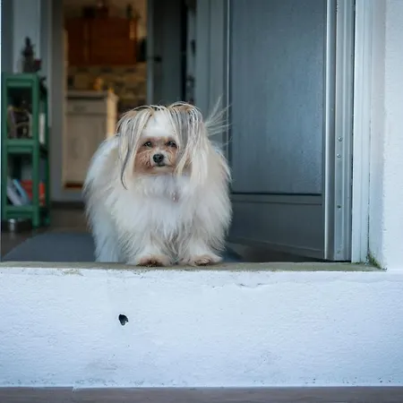 Growth House ベッド・アンド・ブレックファスト