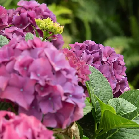 ベッド・アンド・ブレックファスト Growth House