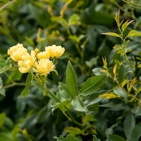 ベッド・アンド・ブレックファスト Growth House *