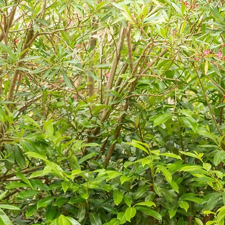 Growth House ベッド・アンド・ブレックファスト *