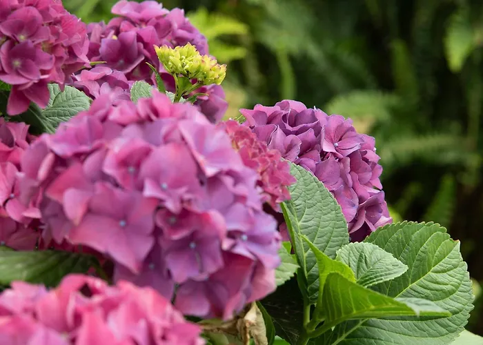 Bed & Breakfast Growth House